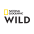 National Geographic Wild